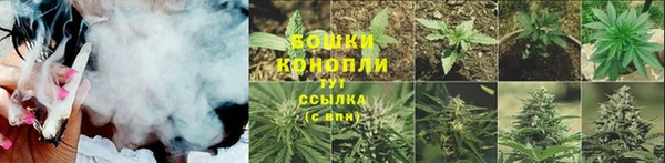стафф Каменногорск