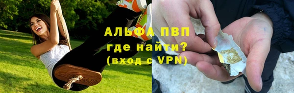 спиды Каменка