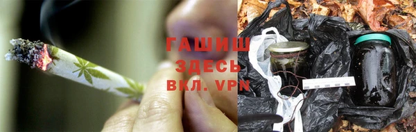 спиды Каменка
