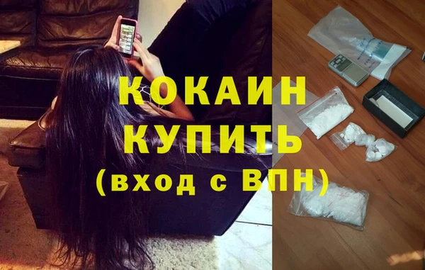 стафф Каменногорск