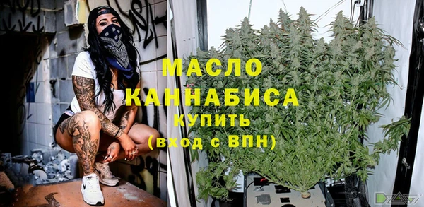 спиды Каменка