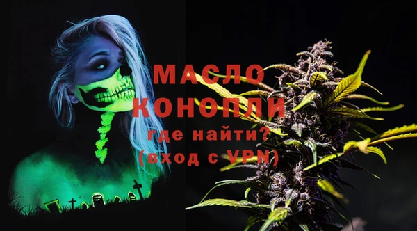 спиды Каменка