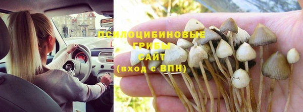 трава Каменск-Шахтинский