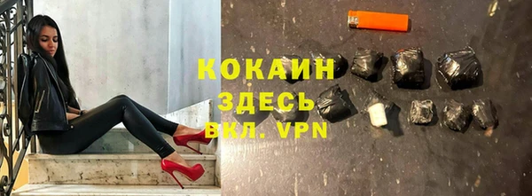 стафф Каменногорск